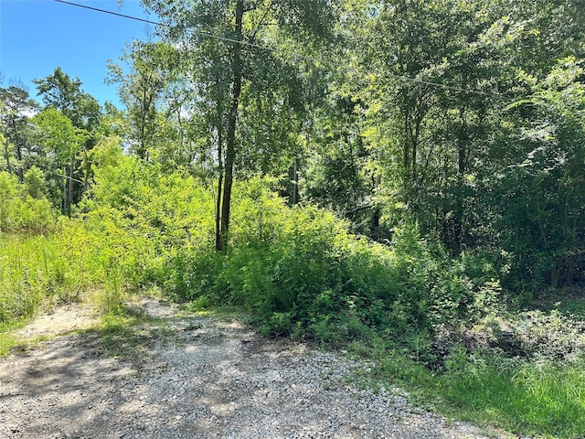 14301 Splenwood Dr, Splendora, TX 77372