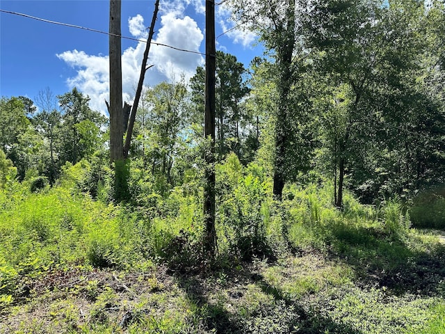 14301 Splenwood Dr, Splendora, TX 77372