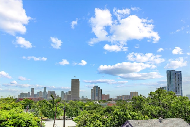 5007 Dickson St, Houston, TX 77007 - view of city skyline
