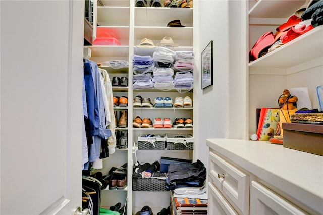 5007 Dickson St, Houston, TX 77007 - view of spacious closet