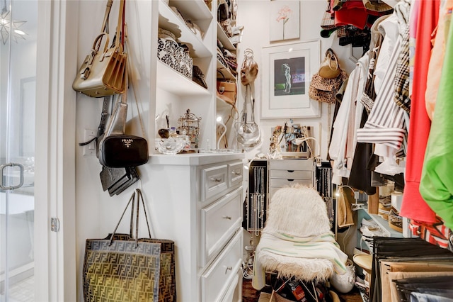 5007 Dickson St, Houston, TX 77007 - view of spacious closet