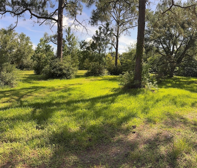 3120 Cemetery Rd, Santa Fe, TX 77517 - view of yard