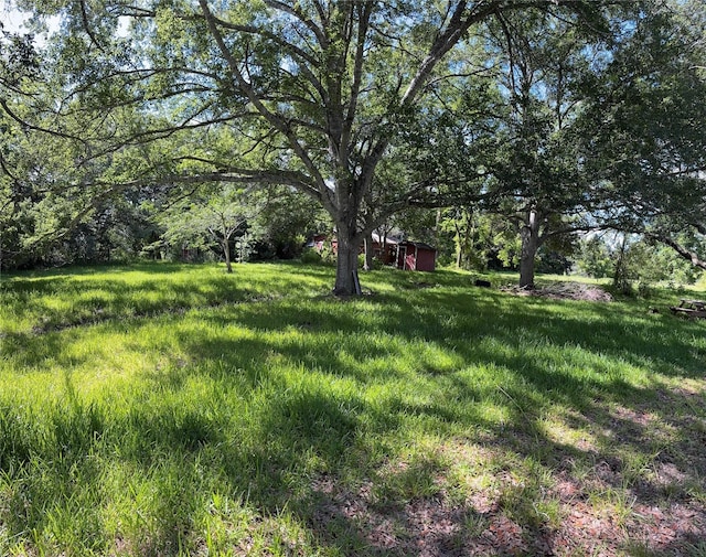 3120 Cemetery Rd, Santa Fe, TX 77517 - view of yard featuring a shed