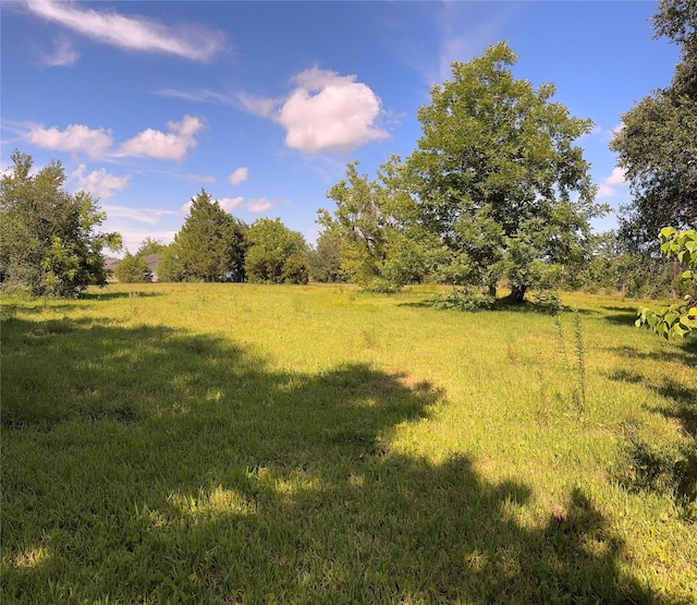 3120 Cemetery Rd, Santa Fe, TX 77517 - view of green lawn with a rural view
