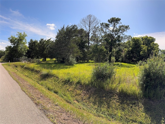 3120 Cemetery Rd, Santa Fe, TX 77517 - view of undeveloped land