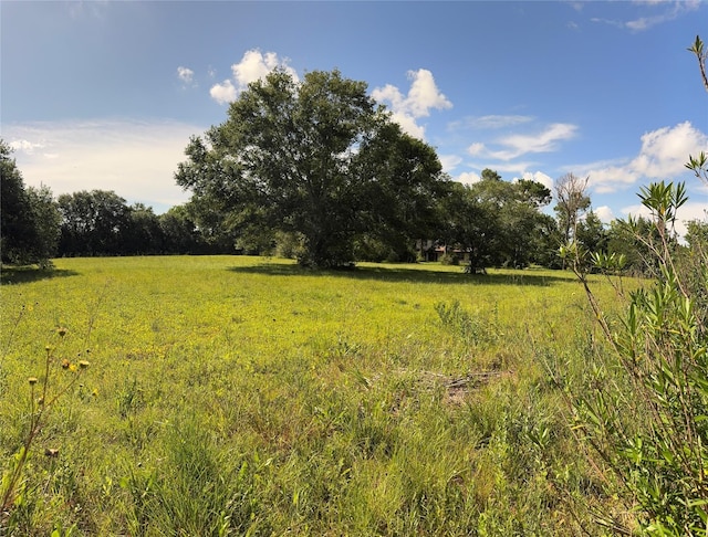 3120 Cemetery Rd, Santa Fe, TX 77517 - view of yard with a view of countryside