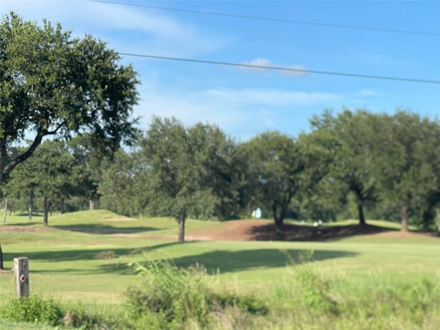 335 Carroll Rd, Richmond, TX 77469 - photo 11
