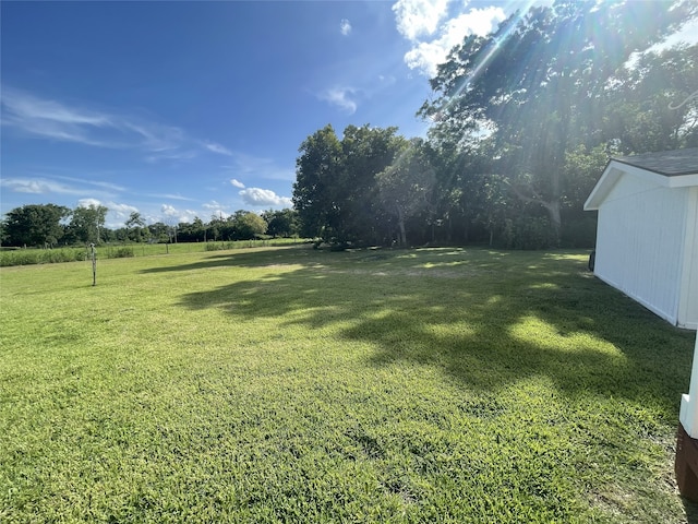335 Carroll Rd, Richmond, TX 77469 - photo 7