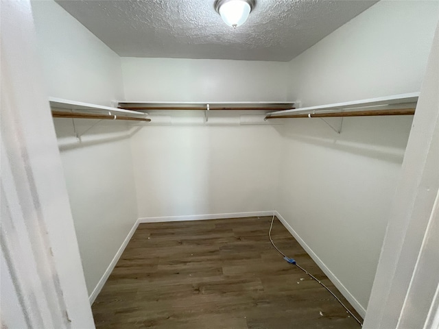 335 Carroll Rd, Richmond, TX 77469 - photo 23