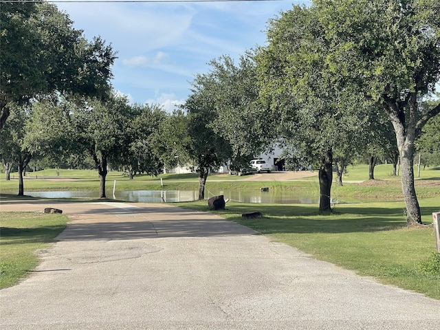 335 Carroll Rd, Richmond, TX 77469 - photo 10