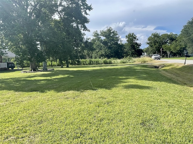 335 Carroll Rd, Richmond, TX 77469 - photo 27