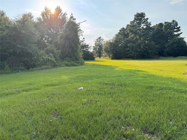 21269 Bracewell Rd, Bedias, TX 77831 - view of green lawn