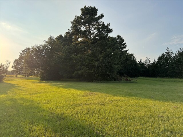 21269 Bracewell Rd, Bedias, TX 77831 - view of grassy yard