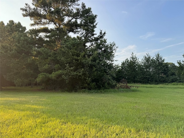 21269 Bracewell Rd, Bedias, TX 77831 - view of yard with a view of trees