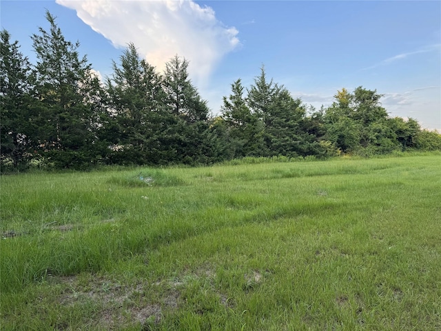 21269 Bracewell Rd, Bedias, TX 77831 - view of undeveloped land