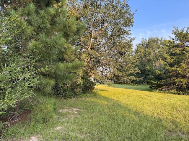 21269 Bracewell Rd, Bedias, TX 77831 - view of yard