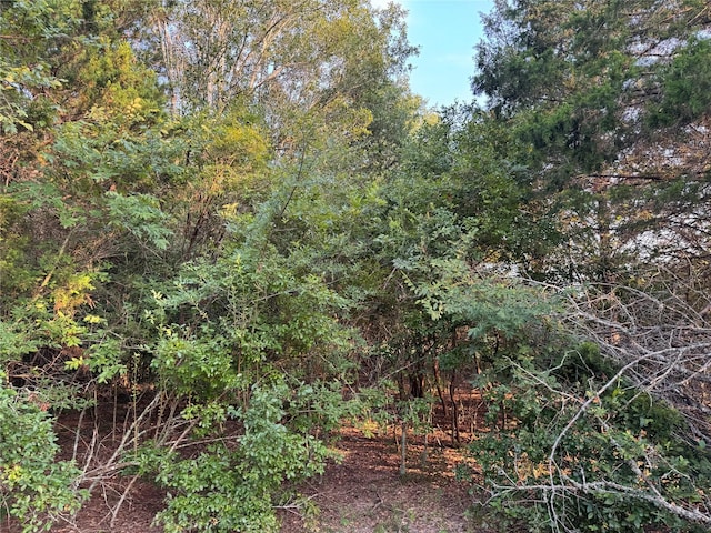 21269 Bracewell Rd, Bedias, TX 77831 - view of woods