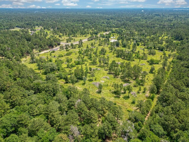 31824 Boone Rd, Waller, TX 77484 - photo 3