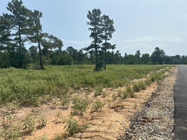 31824 Boone Rd, Waller, TX 77484 - photo 7
