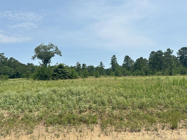 31824 Boone Rd, Waller, TX 77484 - photo 8