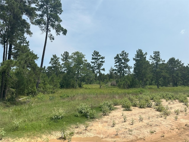 31824 Boone Rd, Waller, TX 77484 - photo 10