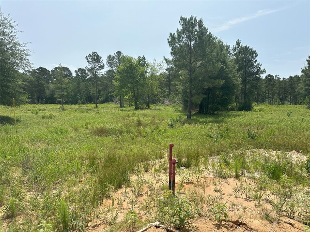 31824 Boone Rd, Waller, TX 77484 - photo 11