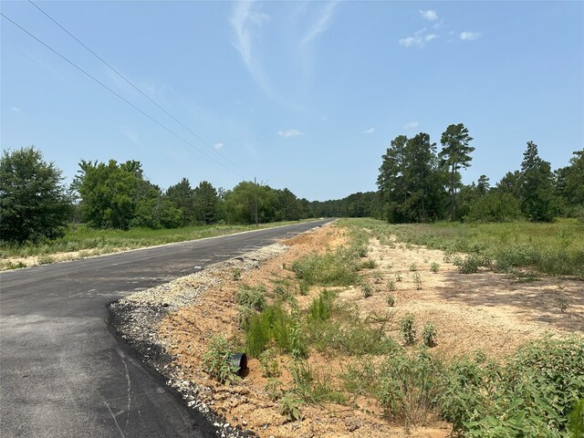 31824 Boone Rd, Waller, TX 77484 - photo 16
