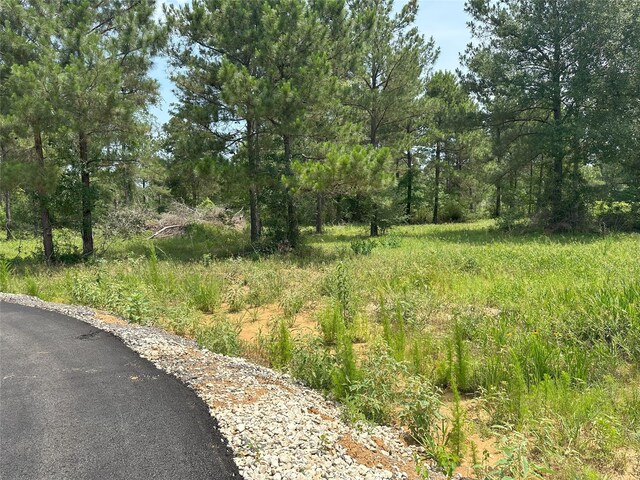 31824 Boone Rd, Waller, TX 77484 - photo 17
