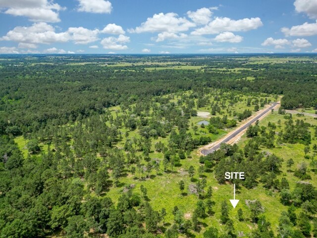 31824 Boone Rd, Waller, TX 77484 - photo 1