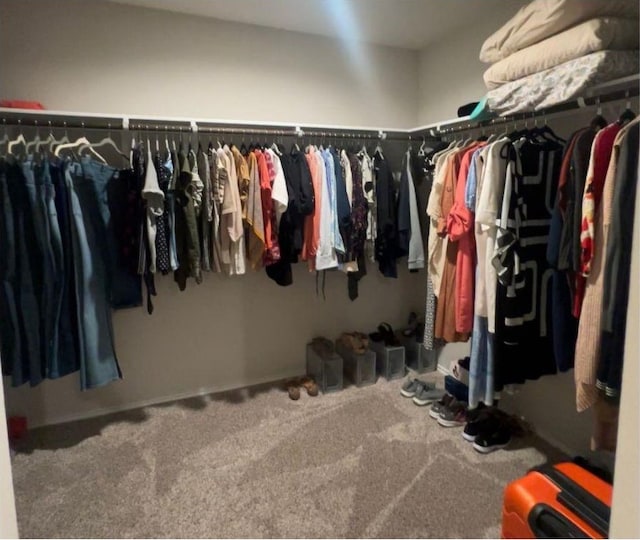 14915 Prickly Pear Cv, Magnolia, TX 77354 - walk in closet with carpet floors