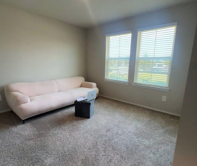 14915 Prickly Pear Cv, Magnolia, TX 77354 - photo 13