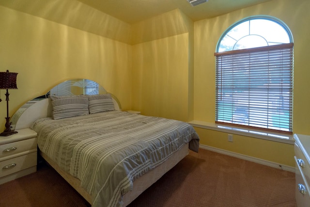 22110 Nobles Crossing Dr, Spring, TX 77373 - bedroom featuring multiple windows and carpet