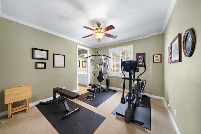 1310 Whispering Pines Dr, Houston, TX 77055 - photo 23