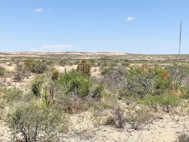 O Shafter Crossing Rd, Dryden, TX 78851 - photo 4