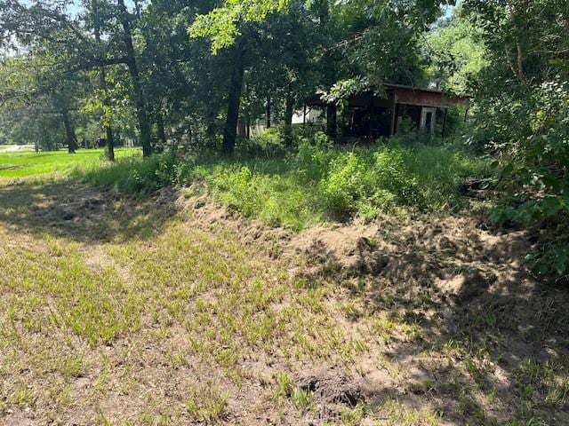 238 Knotty Oak, Livingston, TX 77351 - photo 3
