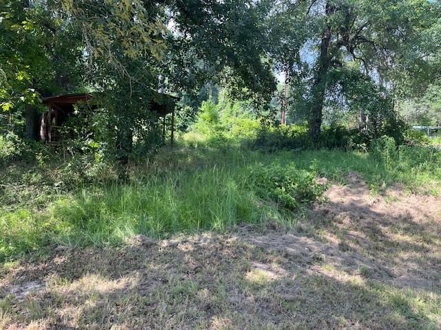 238 Knotty Oak, Livingston, TX 77351 - photo 4