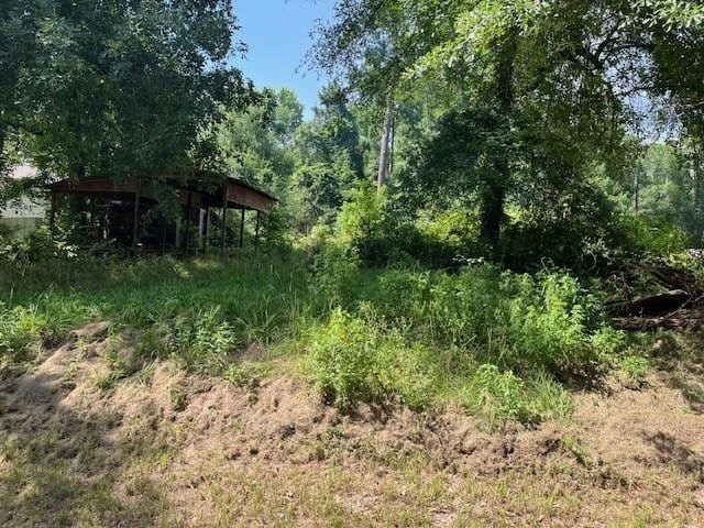 238 Knotty Oak, Livingston, TX 77351 - photo 2