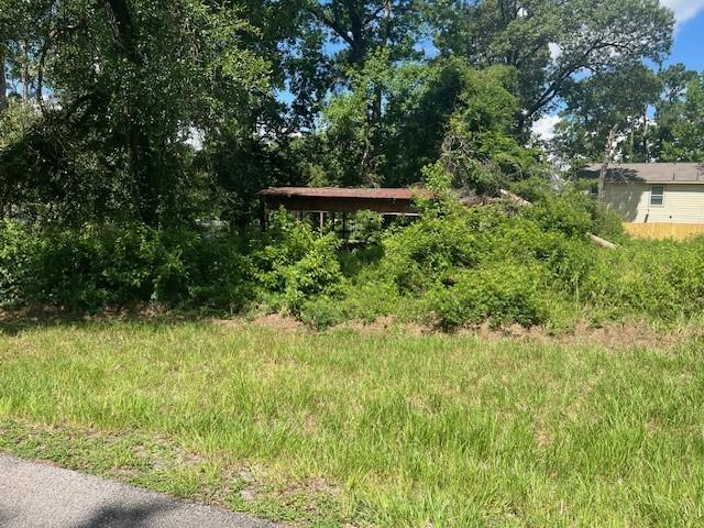 238 Knotty Oak, Livingston, TX 77351 - photo 6