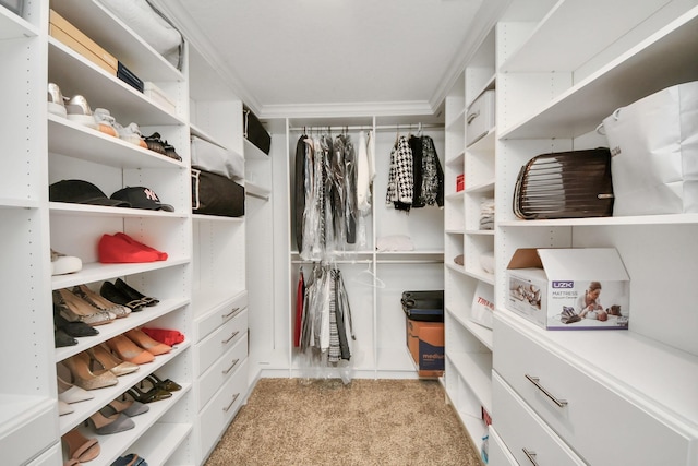 29506 Hartman Holw, Katy, TX 77494 - walk in closet featuring carpet flooring