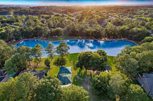 15410 Stable Star Cir, Cypress, TX 77429 - bird's eye view of a heavily wooded area and a pool area