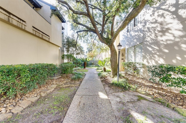 1112 Bering Dr Unit 47, Houston, TX 77057 - view of yard