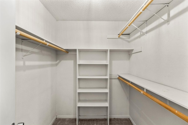 1112 Bering Dr Unit 47, Houston, TX 77057 - walk in closet featuring carpet floors