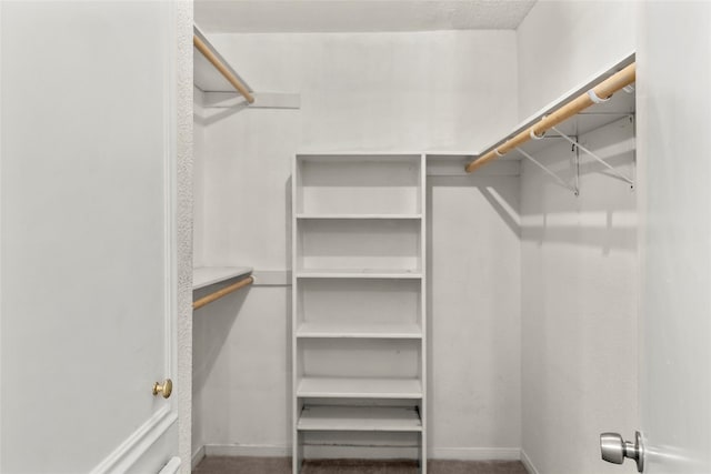 1112 Bering Dr Unit 47, Houston, TX 77057 - view of spacious closet