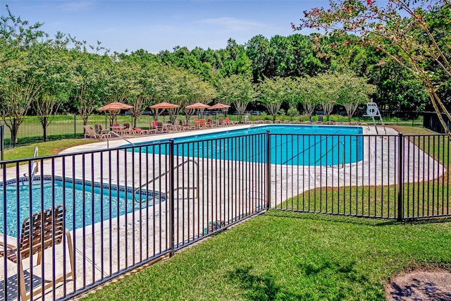 1018 N Commons View Dr, Houston, TX 77336 - community pool featuring a patio area