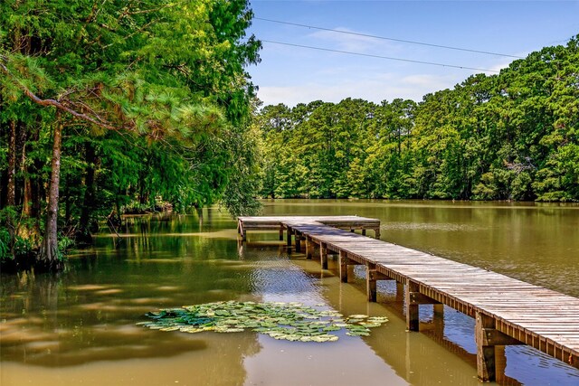 1018 N Commons View Dr, Houston, TX 77336 - dock area featuring a water view and a forest view
