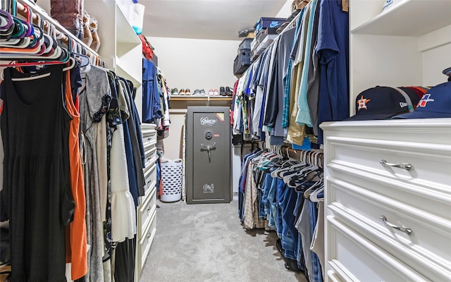 1018 N Commons View Dr, Houston, TX 77336 - spacious closet featuring carpet floors