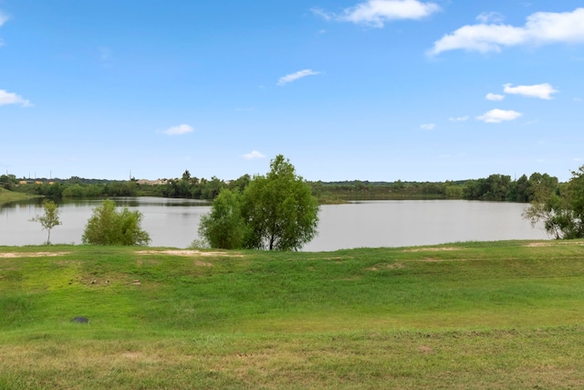 25703 Red Shadow Ln, Hockley, TX 77447 - photo 43