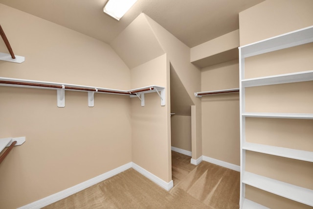 9119 Basin Ridge Ln, Richmond, TX 77407 - walk in closet with carpet floors