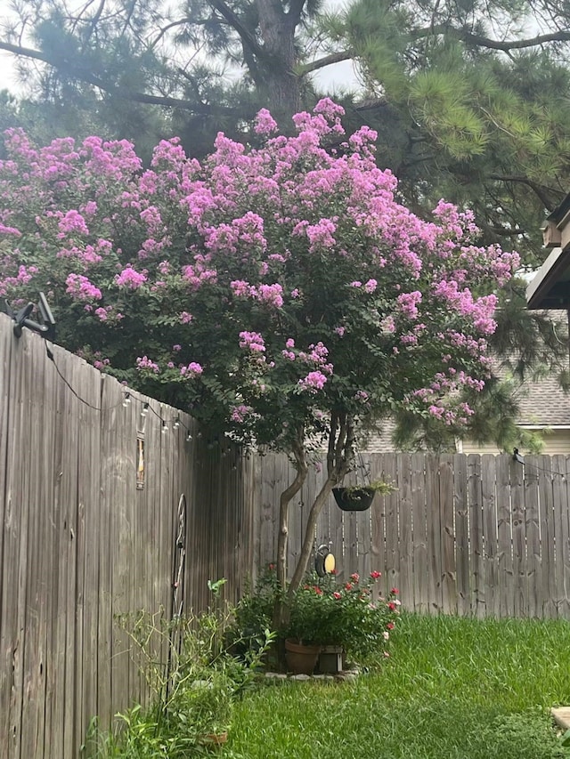 8526 Greenleaf Lake Dr, Houston, TX 77095 - view of yard