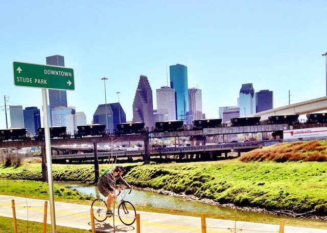 2616 Beauchamp St, Houston, TX 77009 - skyline view